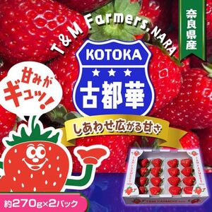 @Ós؁EƂ2pbN(8`15/1pc)yzsnFEkCEꌧEkzy1685936z