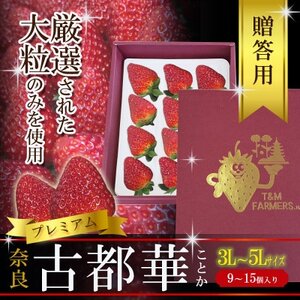いちご 古都華・ことか 大粒 1パック(9〜15粒入り)[配送不可地域:離島・北海道・沖縄県・東北]