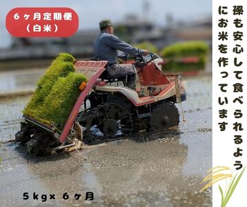 y6ցzЂ̂Ђ  5kg×6 S30kg ޗǌ O qmqJ uWčX