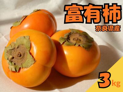   xL` ޗǌY R ` ƒp Â Ԍ ʕ t[c Mtg