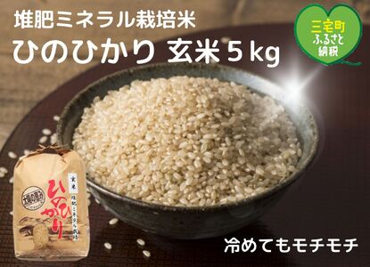 [令和5年産]「ひのひかり」玄米5kg 奈良県 三宅町 ヒノヒカリ 冷めてもおいしい もちもち