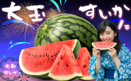 大和スイカ「祭りばやし」[2026年7月初旬〜7月下旬ごろ発送予定] / ヒロちゃんファーム 西瓜 スイカ すいか 果物 フルーツ デザート 奈良県 田原本町