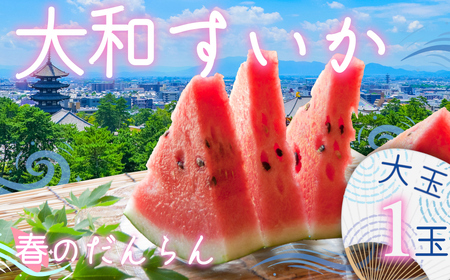大和スイカ「春のだんらん」[2026年6月初旬〜6月下旬ごろ発送予定] / ヒロちゃんファーム 西瓜 スイカ すいか 果物 フルーツ デザート 奈良県 田原本町
