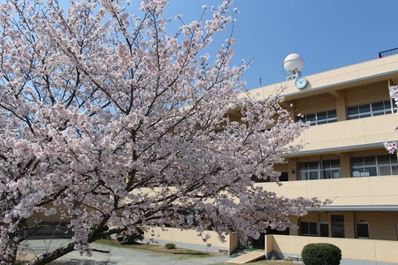 【学校応援ふるさと寄附金】田原本町立東小学校（返礼品なし）1,000円