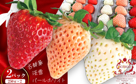 i①jRF ^ OcXgx[ Ós sNF̒W p[zCg 䂫ڂ ʕ t[c Â ޗǌ c{