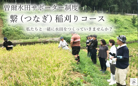 曽爾 水田サポーター制度 繋(つなぎ)​稲刈りコース ​( 2026年度お申込み用 ) // 田んぼオーナー お米オーナー 景観保護 米作り 水田作業 田植え 交流会 玄米3kg 体験 経験