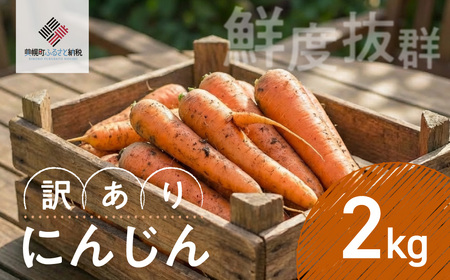 [先行受付]にんじん(訳あり) 2kg(2026年7月中旬より順次発送)