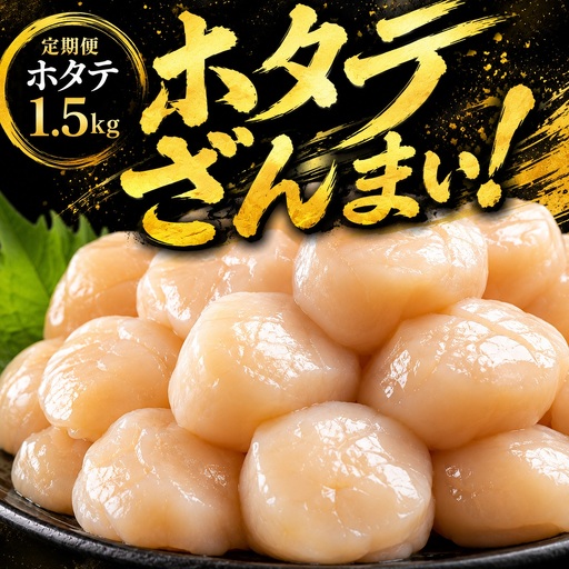 [定期便3ヵ月・隔月]北海道オホーツク産 ホタテ 貝柱 1.5kg 訳あり ホタテ