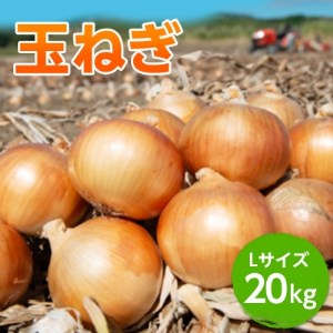 玉ねぎ 20kg 特別栽培/010-13054-b01B | 北海道津別町 | ふるさと納税