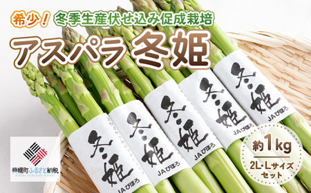希少!冬季生産伏せ込み促成栽培アスパラ「冬姫」2L・Lセット 約1kg [配送不可地域:離島](2025年11月中旬より順次発送)