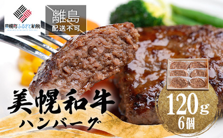 【田村精肉店】美幌和牛ハンバーグ【120g×6個】 【配送不可地域：離島】ハンバーグ 和牛 手軽 簡単 おかず 北海道 美幌町 送料無料 BHRJ010