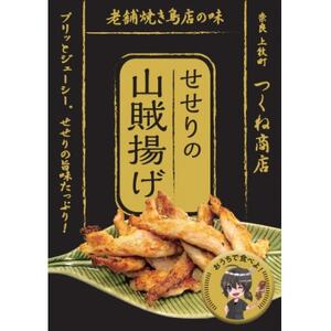 [老舗焼き鳥屋]鶏の希少部位を惜しげなく使用した大ヒットメニュー自信作の詰め合わせ 鶏大好きセット[配送不可地域:離島]
