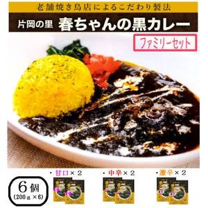 片岡の里春ちゃんの黒カレー ファミリーセット