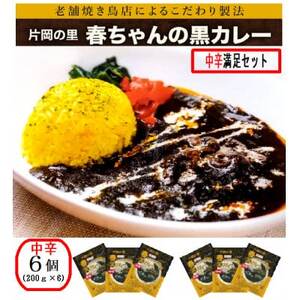 片岡の里春ちゃんの黒カレー 中辛満足セット