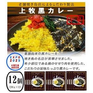 上牧黒カレー 大阪万博出品記念 中辛バンバンセット 200g×12パック【1616107】