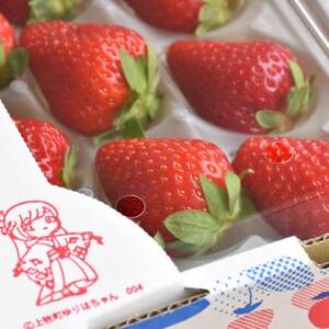 E!ӂ邳Ɣ[ŏq@ޗǌuh䕁uÓs؁v250g×2pbN(2Lȏ)yzsnFEkCEꌧzy1328296z