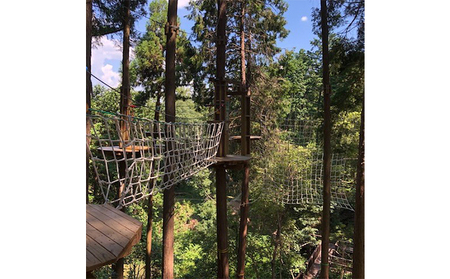 `̐Xin@fBXJo[R[X10l`Pbg ꌔ DҌ ̌`Pbg