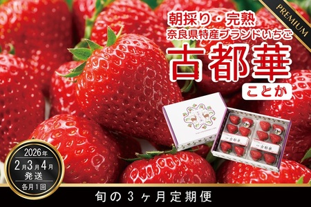 数量限定いちご 先行予約いちご 定期便 2・3・4月発送 奈良県特産 高級ブランド「古都華」旬の3ヶ月定期便 // イチゴ 古都華 フルーツ 果物 旬 限定 ブランド イチゴ フルーツ 果物 限定