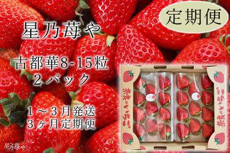 3ヶ月定期便 古都華2パック 2025年1月発送開始 いちごいちご