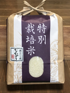 [新米先行受付][令和7年度産][11月下旬より順次発送予定]奈良県産 特別栽培米 ひのひかり 3kg/// 特別栽培米 ひのひかり ヒノヒカリ ブランド 白米 ご飯 お 大和 おにぎり おむすび 安心 安全 美味しい 人気 直送 奈良県 広陵町