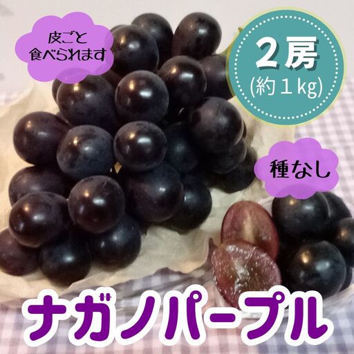 先行予約 ナガノパープル 2房 約1kg 黒ぶどう 葡萄 ブドウ ぶどう 送料無料 クール便 旬 フルーツ