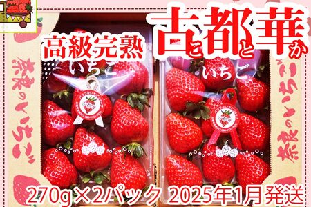 いちご好きのためのいちご 奈良県ブランド 「古都華(ことか)」2025年1月発送 / 