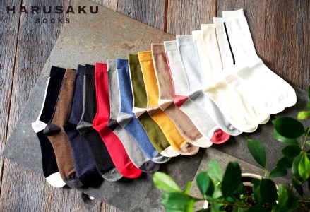 HARUSAKU バックラインソックス 5足セット (23cm〜25cm)/靴下 くつ下 日本製 消臭ソックス おしゃれ シンプル ビジネス カジュアル / メンズ 紳士