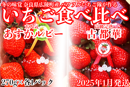 いちご好きのためのいちご 奈良県ブランド 「古都華」「あすかルビー」2025年1月発送 / 