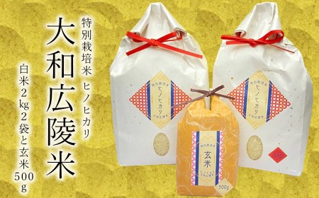 [新米先行受付][令和6年度産][10月下旬より順次発送予定]特別栽培米 奈良県広陵町産ヒノヒカリ 白米2kg×2 玄米500gセット/// ひのひかり ヒノヒカリ 玄米 特別栽培米 粉 セット お米 仕送り ギフト 贈答 農家 直送 奈良県産 奈良県 広陵町