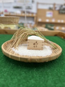 [令和5年産]奈良県広陵町産ヒノヒカリ 約4.5kg×2 / お米 ひのひかり 奈良県