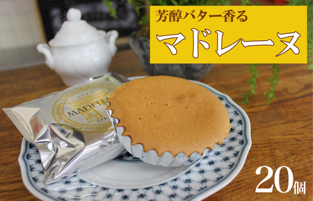 マドレーヌ 20個 10個入×2箱 セット 洋菓子 おやつ 焼き菓子 ギフト 贈り物 人気 厳選 おすすめ マドレーヌ 