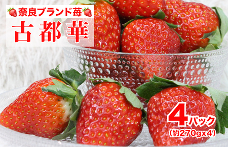 [2026年発送先行予約]いちご 苺 古都華(ことか) 270gx4パック 1080g 特産品 いちご イチゴ 奈良県産いちご 大人気いちご いちご いちご いちご いちご いちご