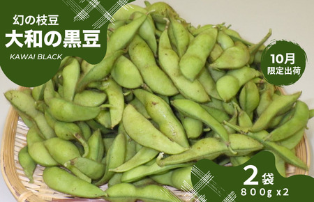 [2025年10月下旬出荷限定]幻の枝豆 大和の黒豆 KAWAI BLACK 1.6kg(800g×2袋) 枝豆 枝豆 枝豆 枝豆 枝豆 枝豆 枝豆 枝豆 枝豆