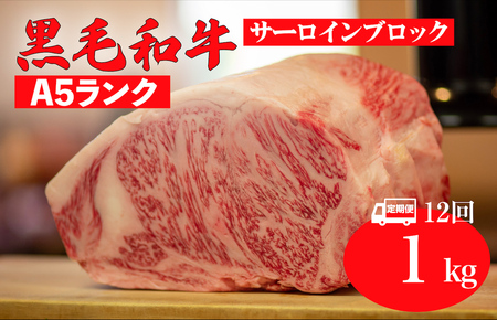 【全12回定期便】黒毛和牛 A5ランク サーロインブロック 1kg 冷蔵 国産牛 ステーキ ブロック肉 BBQ