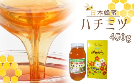 【0501-B20】日本蜜蜂ハチミツ470g《吉野ハニー》