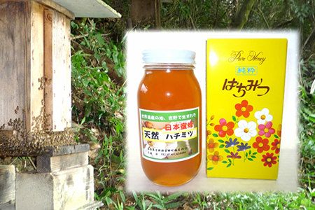 【0501-A18】日本蜜蜂ハチミツ《吉野ハニー》