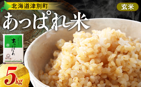 [令和8年産・早期予約受付]北海道産 津別町あっぱれ米(玄米) 5kg | 米 お米 新米 玄米 国産米 農家直送 産地直送 北海道 津別町 送料無料