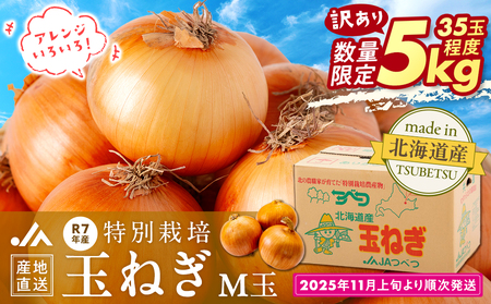 [訳あり]数量限定 特別栽培玉ねぎ M玉 5kg | 訳あり M玉 玉ねぎ たまねぎ タマネギ 玉葱 大容量 オニオン 甘い 減農薬 特別栽培 国産 カレー ハンバーグ 煮込み 炒め物 北海道 津別町 送料無料