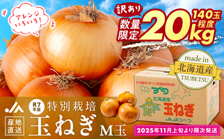 【訳あり】数量限定 特別栽培玉ねぎ M玉 20kg | 訳あり M玉 玉ねぎ たまねぎ タマネギ 玉葱 大容量 オニオン 甘い 減農薬 特別栽培 国産 カレー ハンバーグ 煮込み 炒め物 北海道 津別町 送料無料