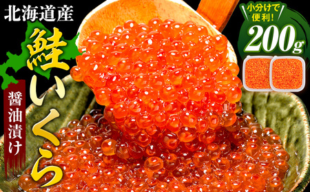 �y���ʌ���z�k�C���Y ��������ݖ��Ђ� 200g�i100g×2�p�b�N�j | �k�C�� �Õʒ� �C�N ���� �C�N�� �������� �T�[���� ���� ������ �p�b�N ��������