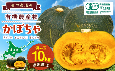 ystzR8NY L@͔|ڂ 10kg | ڂ J{` Z e pvL Â L@͔| Y Yn kC Õʒ 