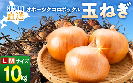 R8年産 玉ねぎ (L玉・М玉混合) 10kg オホーツクコロポックル | 北海道津別町
