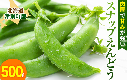 R8年産 スナップえんどう(品種:グルメ) 500g ピンクの八百屋〜ナツやさい〜 | 北海道津別町