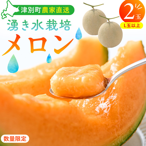 【R8年収穫分】【数量限定】さのさん家のメロン（L玉以上）２玉 湧き水栽培 さの農場 | 北海道津別町