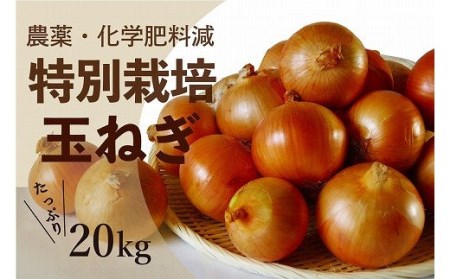 R5年産　玉ねぎ　20kg　特別栽培/011-13054-b01B