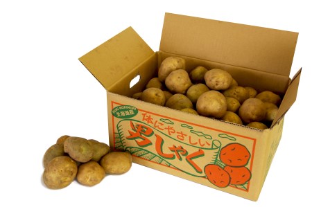 R7年産 じゃがいも 約10kg 男爵 ヤナセ農園/014-27094-b01D