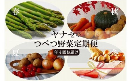 つべつ野菜定期便 (年4回お届け) ヤナセ農園/055-27139-b04A