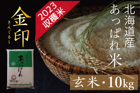 ふるさと納税 津別町 お米定期便 北海道産 あっぱれ米金印 10kg×6回