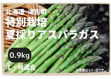 [R6年産]アスパラガス(夏採り)特別栽培 0.9kg 細川農園/010-24200-b01C