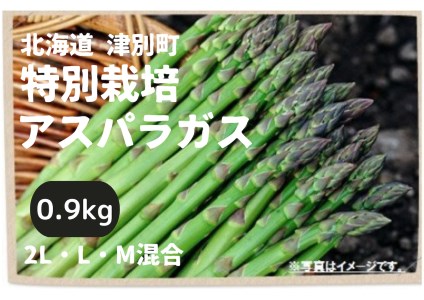 【R6年産】アスパラガス　0.9kg　特別栽培　細川農園/010-24199-b01C